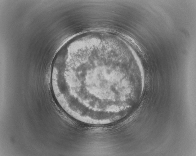 X0000115391228200912151453