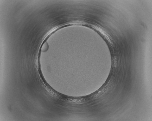 X0000115391229200912151453