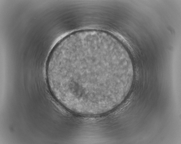 X0000115391230200912151453