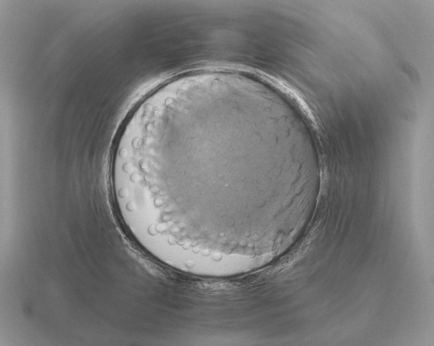 X0000115391231200912151453