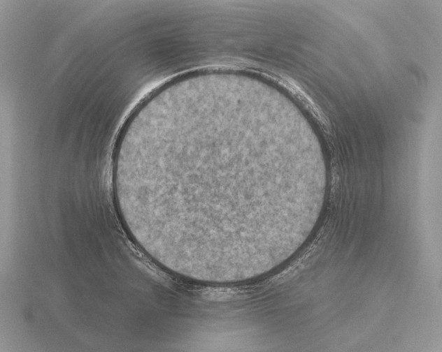 X0000115391232200912151453