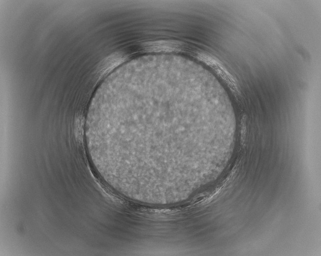 X0000115391233200912151453