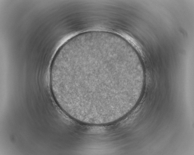 X0000115391238200912151453