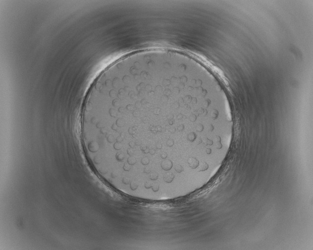 X0000115391239200912151453