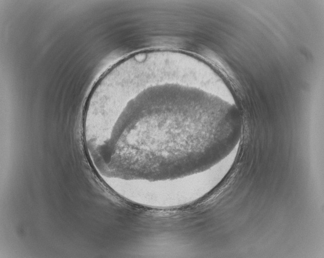 X0000115391240200912151453