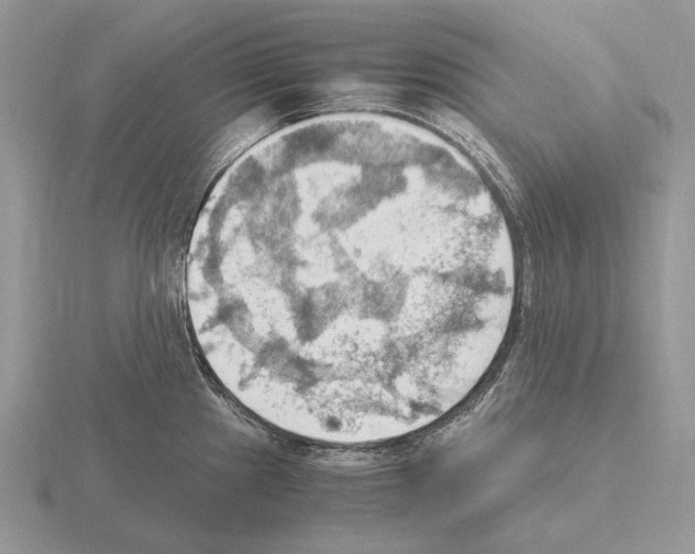 X0000115391241200912151453