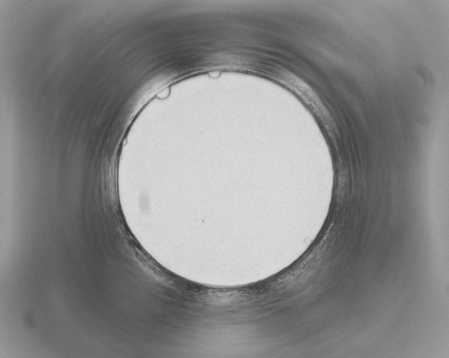 X0000115391242200912151453