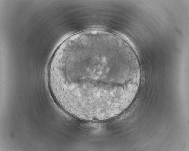 X0000115391243200912151453