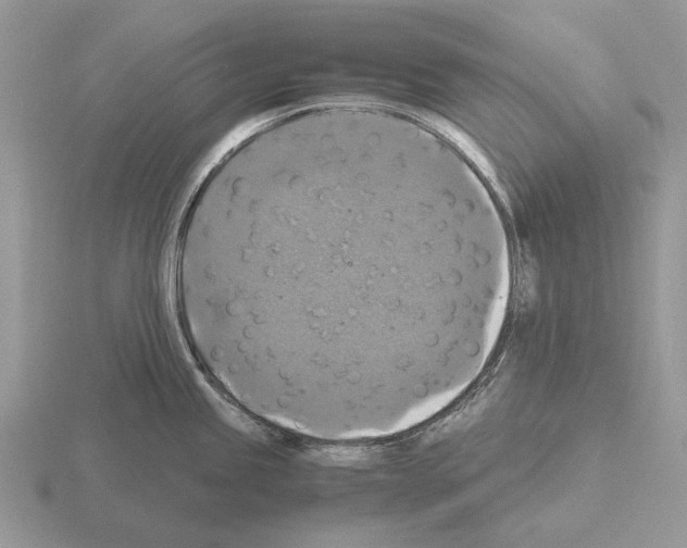 X0000115391245200912151453