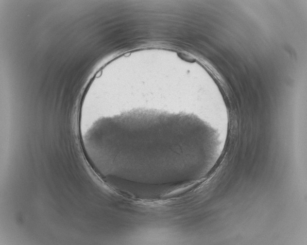 X0000115391246200912151453