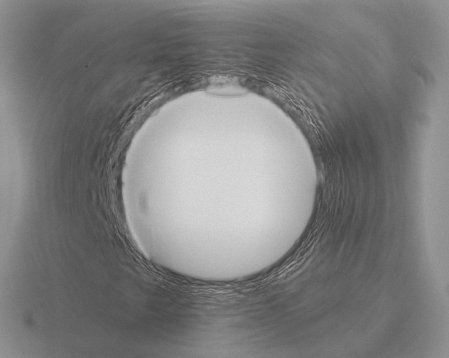 X0000115391249200912151453