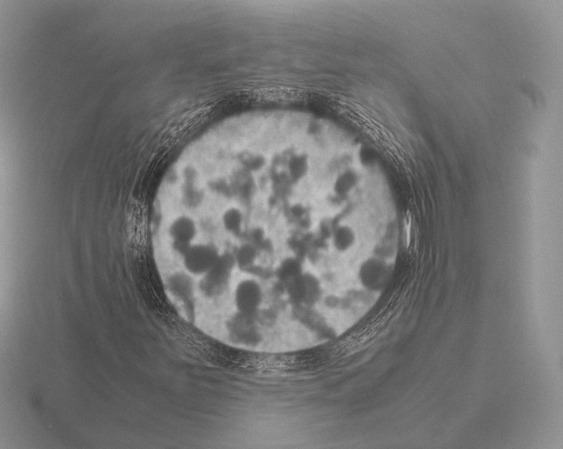 X0000115391251200912151453