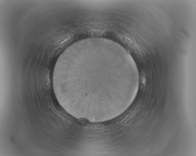 X0000115391252200912151453