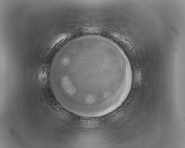 X0000115391254200912151453