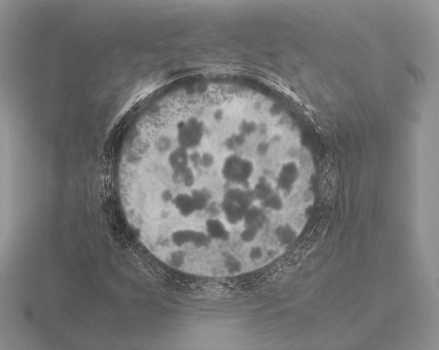 X0000115391255200912151453