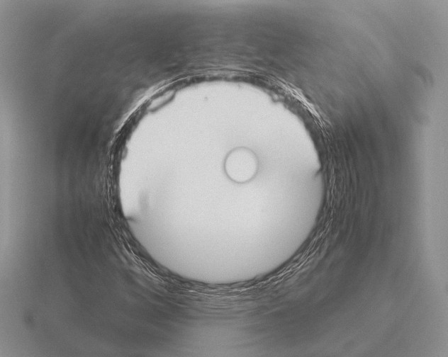 X0000115391256200912151453