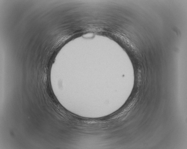 X0000115391257200912151453