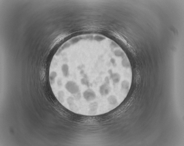 X0000115391259200912151453