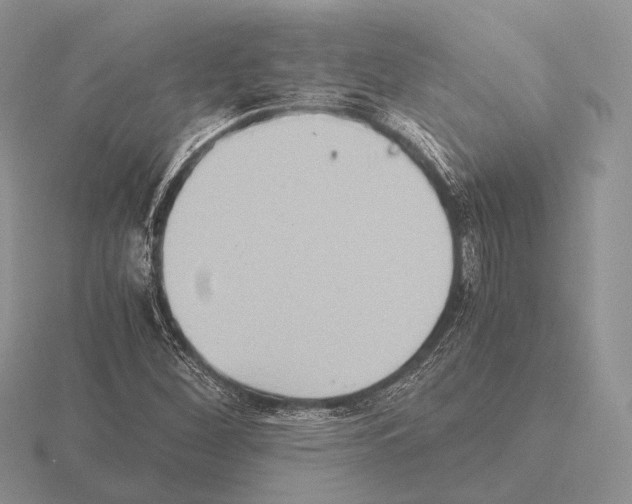 X0000115391260200912151453