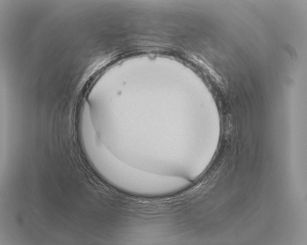 X0000115391261200912151453