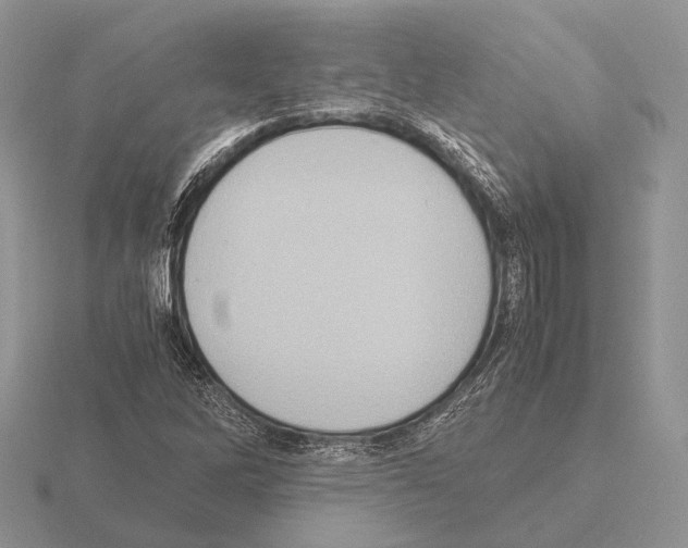 X0000115391262200912151453