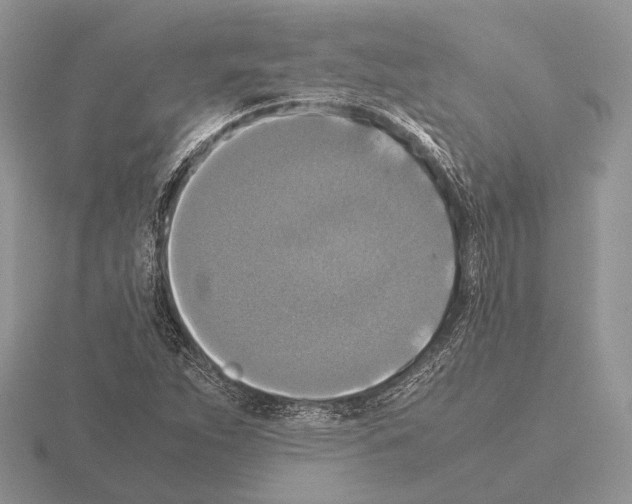 X0000115391263200912151453