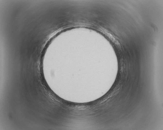 X0000115391264200912151453