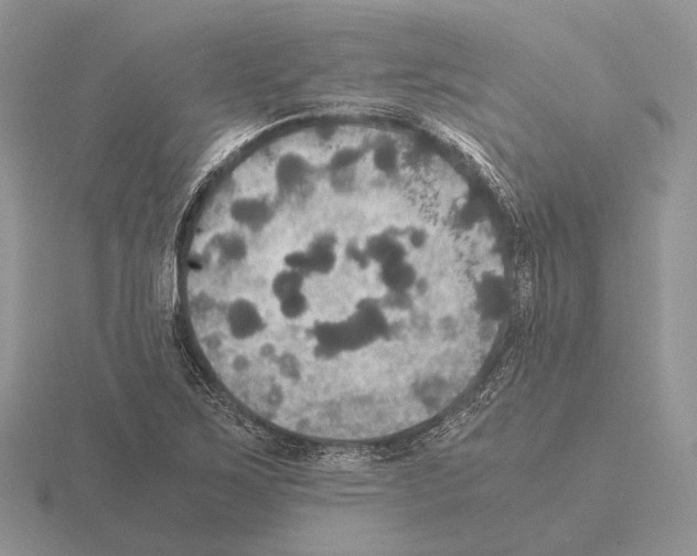 X0000115391267200912151453