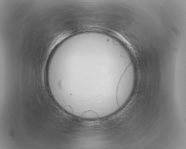 X0000115391269200912151452