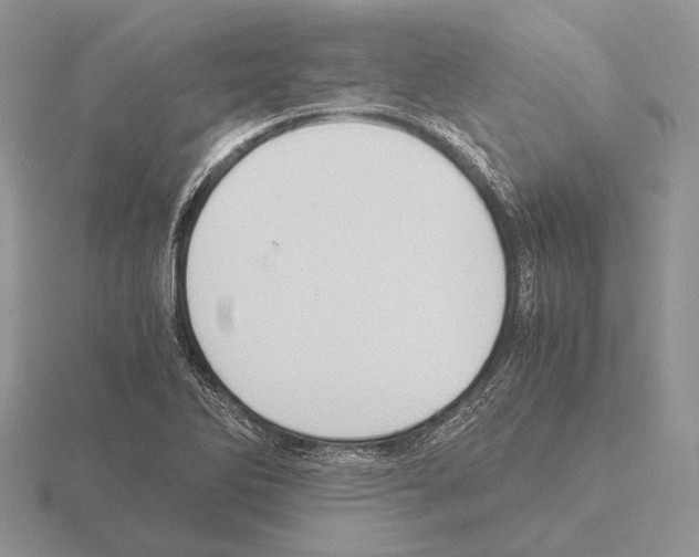 X0000115391270200912151452