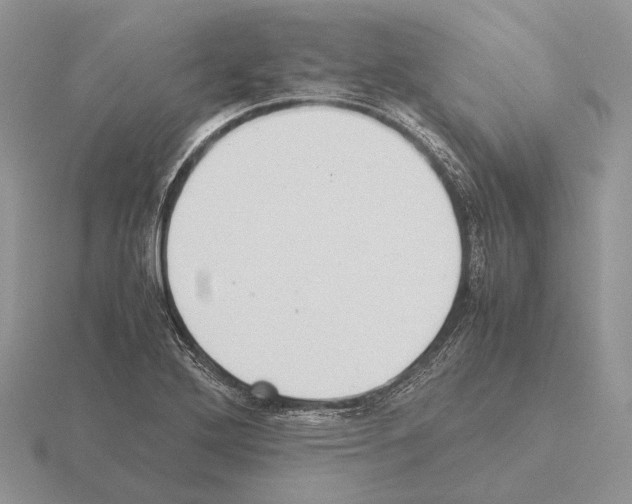 X0000115391272200912151452