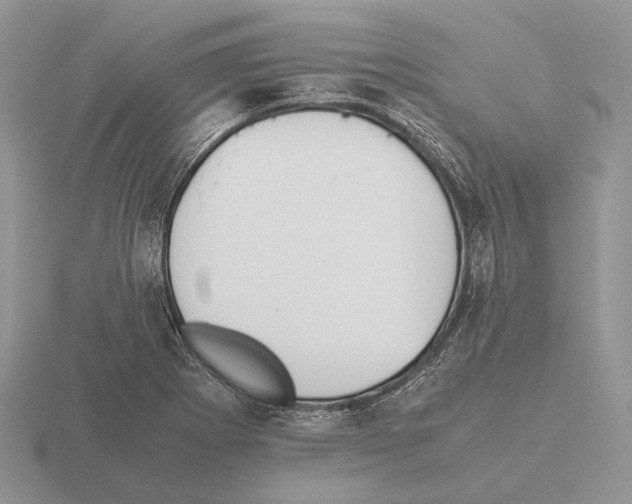 X0000115391273200912151452