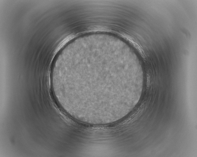 X0000115391274200912151452