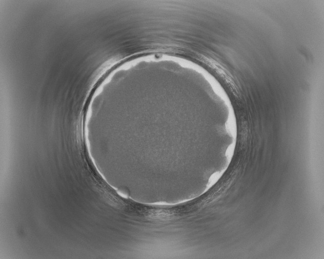 X0000115391275200912151452