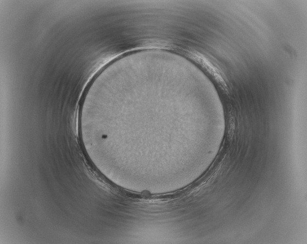 X0000115391276200912151452