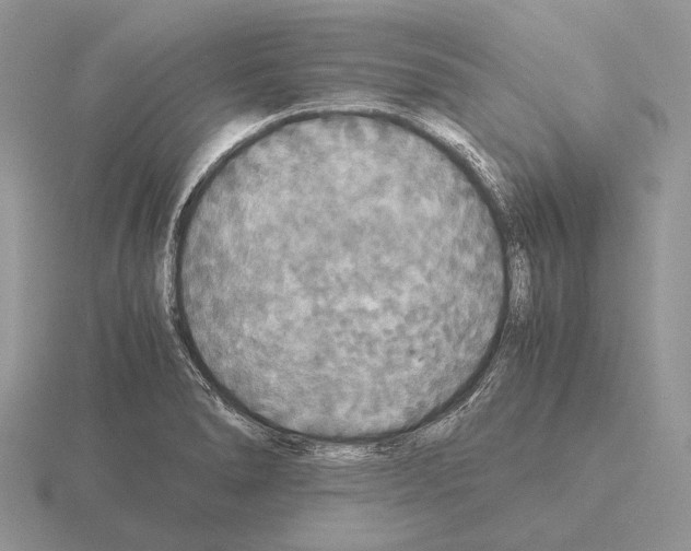 X0000115391278200912151452