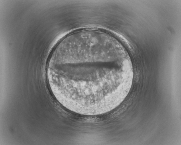 X0000115391279200912151452