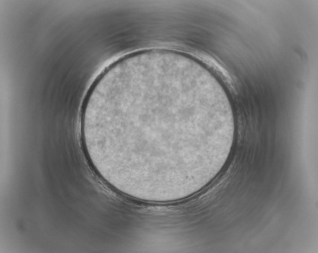 X0000115391280200912151452