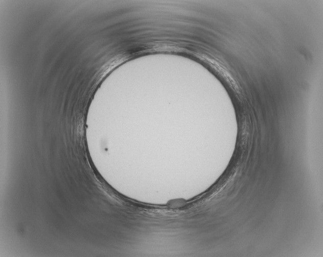 X0000115391281200912151452