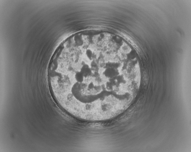 X0000115391283200912151452