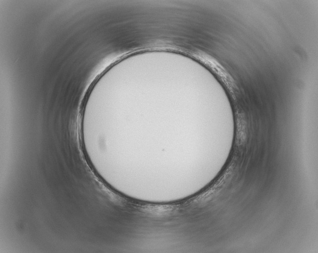 X0000115391286200912151452