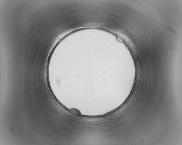 X0000115391288200912151452