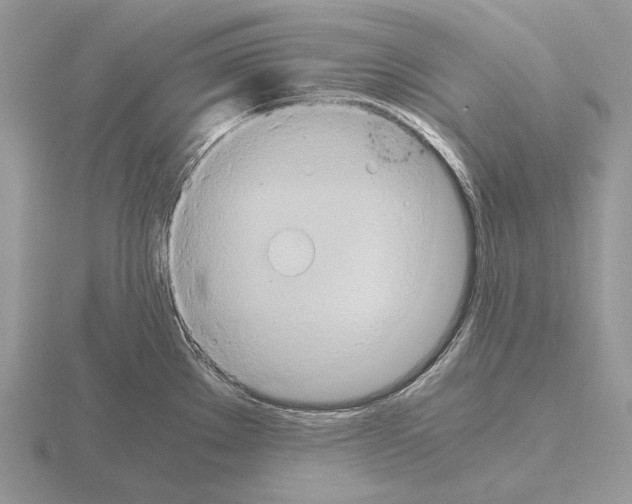 X0000115391289200912151452