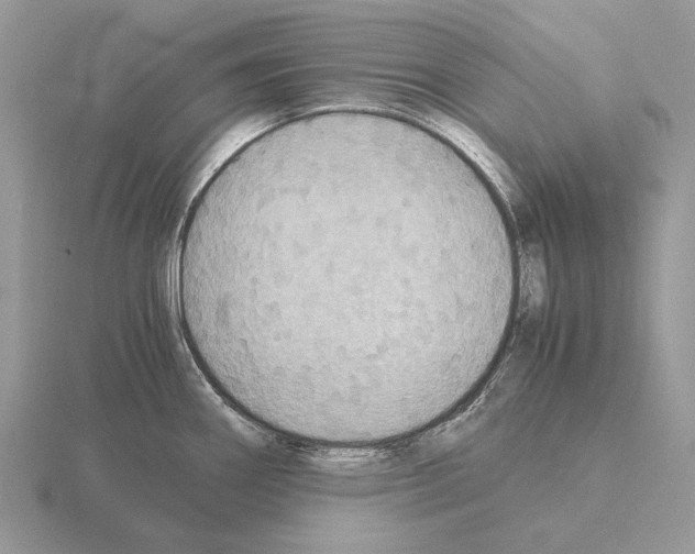 X0000115391290200912151452