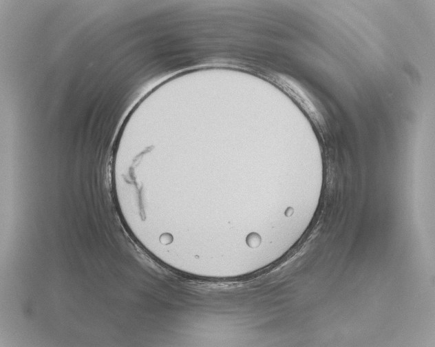 X0000115391292200912151452