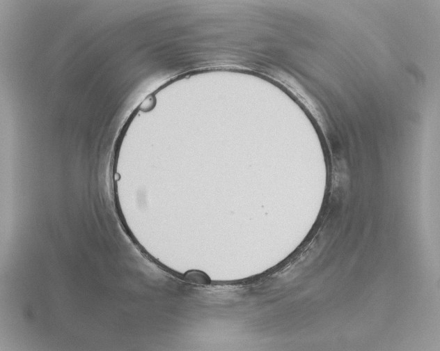 X0000115391293200912151452