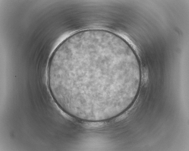 X0000115391294200912151452