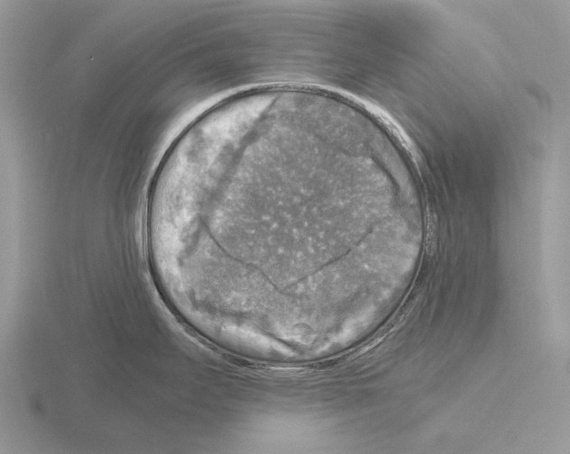 X0000115391295200912151452