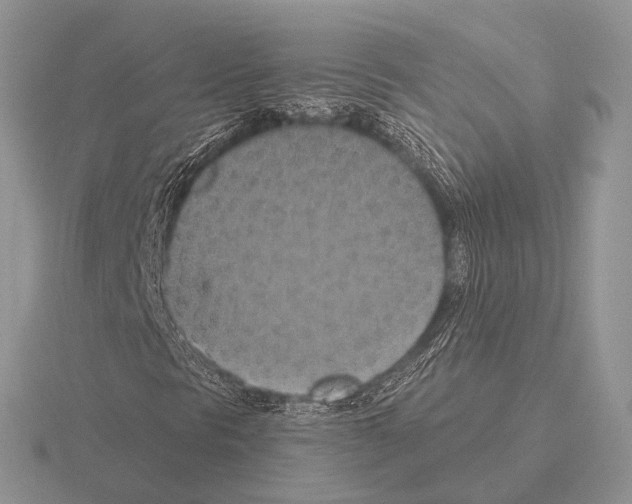 X0000115391297200912151451