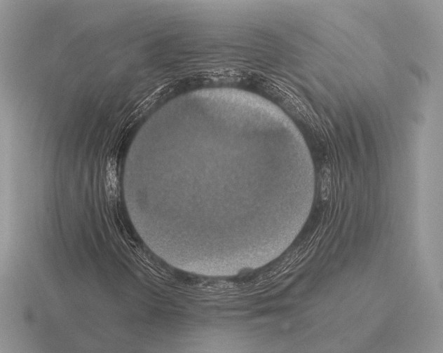 X0000115391298200912151451